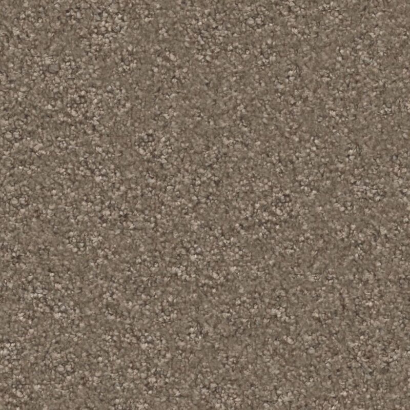 Magnifico greige 0195 | 400cm BlokWoonWereld Tapijt