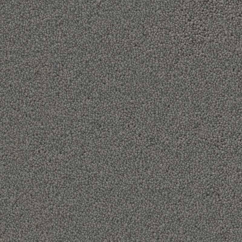 Dallas donkergrijs 0101 | 400cm BlokWoonWereld Tapijt