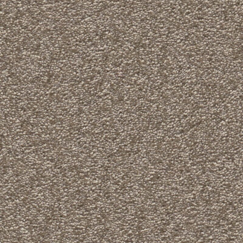 Columbus beigebruin 0485 | 400cm BlokWoonWereld Tapijt